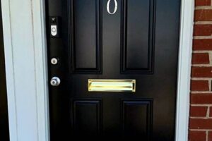 ct 220 entry door complete clean (1)